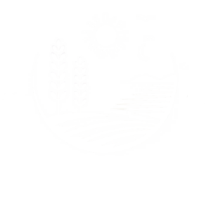 Lou_Peneque_white_FR